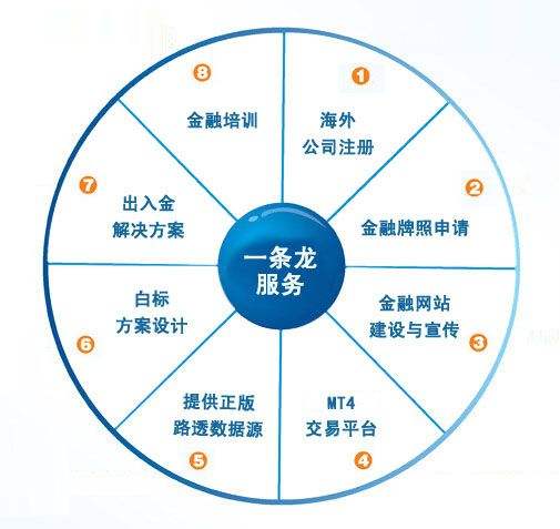 选择MT4主标搭建还是MT4白标出租