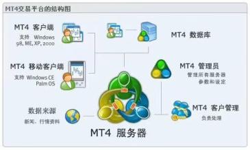 MT5系统出租